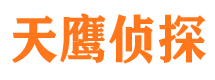 东河侦探公司